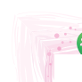 Eggs inside